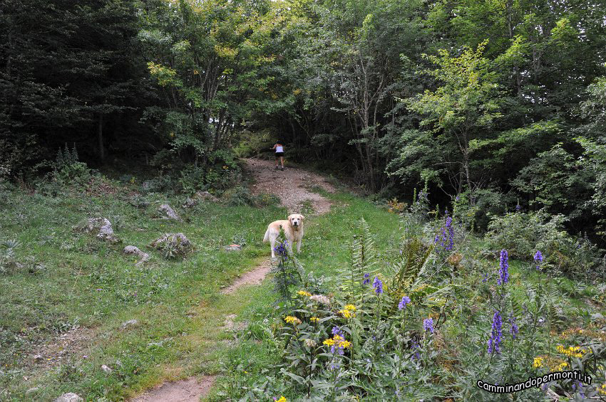 046 Periplo e vetta Monte Alben la Croce.JPG